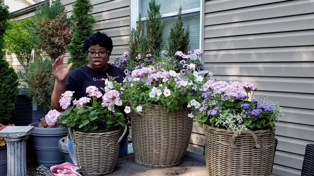 Garden Ideas And Garden Inspiration // Garden Queen смотреть онлайн