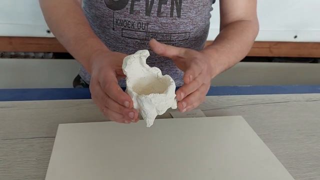 Гнездо Анемона ГА-7 смотреть онлайн