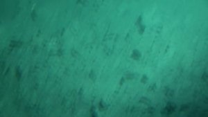 ДНО БАЙКАЛА