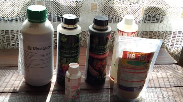 Шикарная клубника с ПОМОЙКИ// Почему не растет ягода//Ягодный огород смотреть онлайн