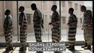 ”Полосатый рейс”