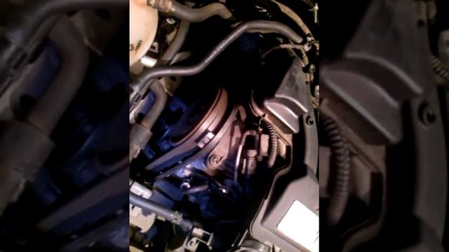 Шум двигателя на холодную, шкода октавия а-5 1,6 BSE смотреть онлайн