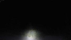 Лесной Тест налобных фонарей на диодах T6 XM-L и XM-L2