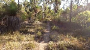 Brookton Shelter on the Bibbulmun Track