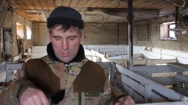 поездка за кормами#свиноматки на прогулке# смотреть онлайн