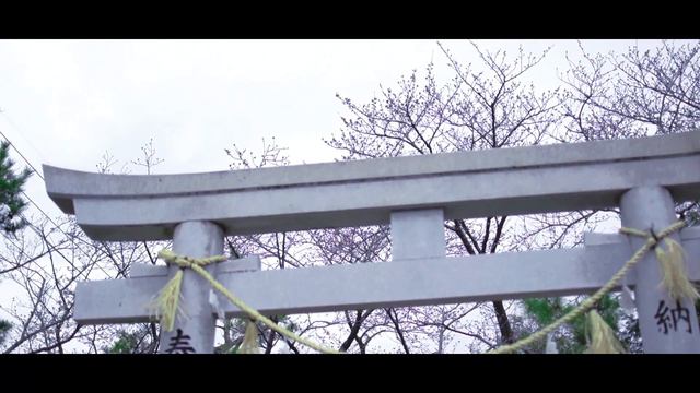 HARU 24 COLOR смотреть онлайн