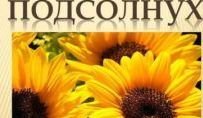 Как вырастить подсолнух.