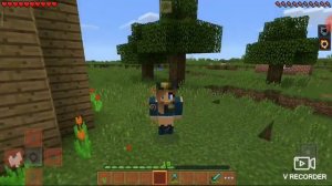 Розы цвета алого