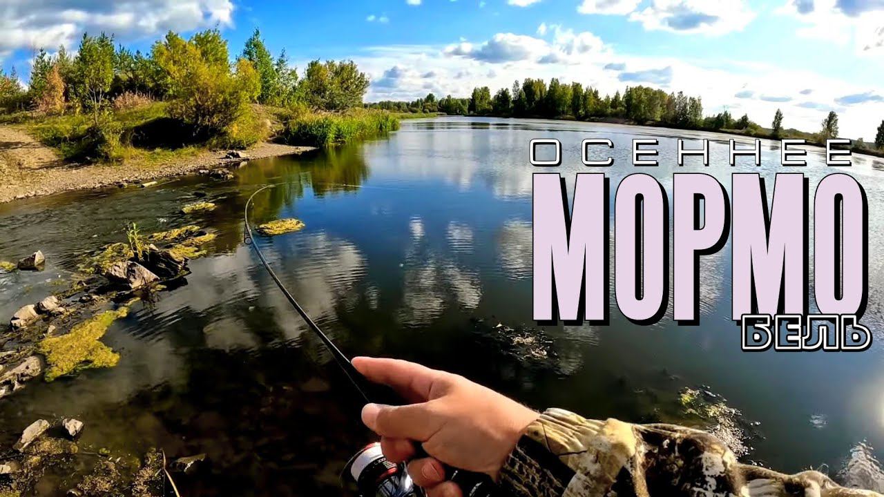 Осеннее МОРМО. БЕЛЬ. Мормышинг на реке