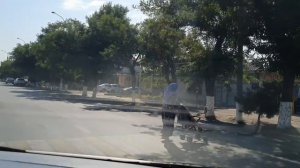 Uzbekistan Tashkent Бектерева Саракулька   Рисовый