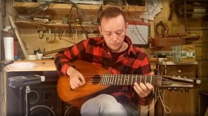 Лютня Лютика