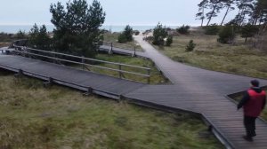 КУПИЛ ХУТОР НА БОЛОТЕ  HАШЛИ СТАРЫЙ КЕМПЕР