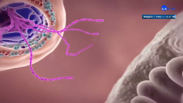 САМЫЙ ВЕРОЯТНЫЙ СПОСОБ ЗАРАЖЕНИЯ