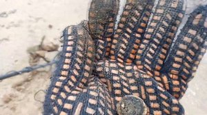 Поиск с металлоискателем на пляже