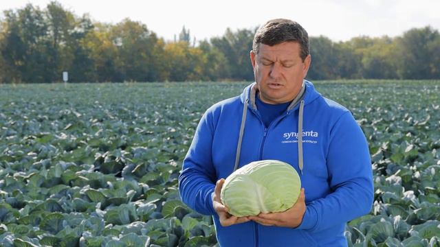 ПРОФЕССОР F1  Овощная усадьба