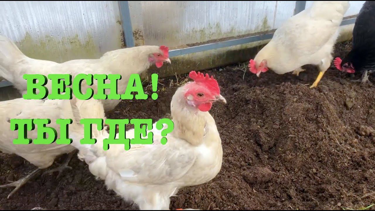 #88. Природные катаклизмы. Высокие грядки. [Жизнь на своей земле] смотреть онлайн