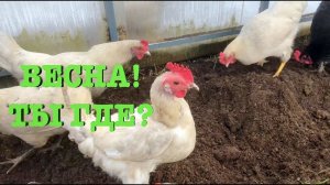 #88. Природные катаклизмы. Высокие грядки. [Жизнь на своей земле]