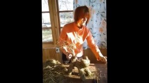 Весенний Мастер Класс "Котик из сена", от студии цветочного дизайна "Мадам Кураж" г.Псков