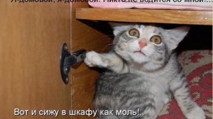 Домовой. Приметы.