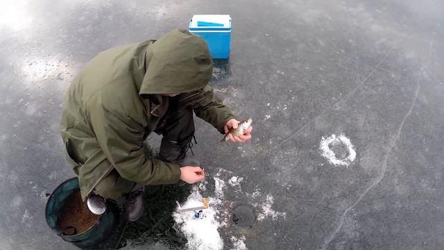 Подлёдная рыбалка в Польше