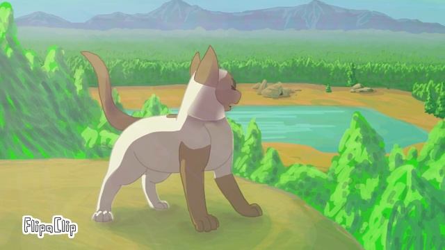 Map - Open up your eyes (16-17) смотреть онлайн