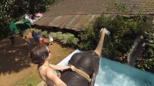 Нападение слона на человека.) Из хобота водой.)