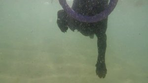 Веселый Яр (Приморский край)