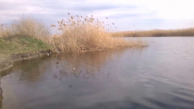 река Ея. Щербиновский район. Краснодарский край. смотреть онлайн
