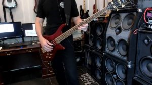 Victorious - Wolfmother - Bass Cover