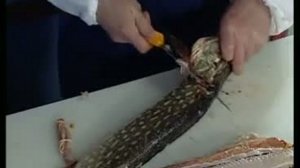 Разделка щуки