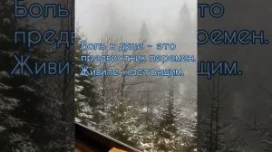 ПОЧЕМУ БОЛИТ ДУША.