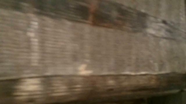 Сушильная камера. Вялка рыбы tmeister.ru