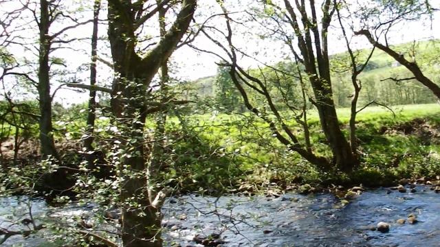 Down the Nidd, part Nine: downstream of Lofthouse, river left смотреть онлайн