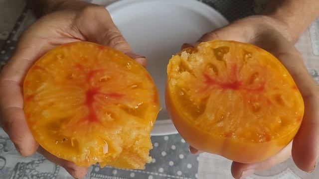 Томат Мадрид. смотреть онлайн