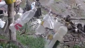 Дагестан мюхрек