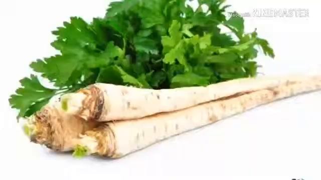 Что можно есть джунгарским хомякам смотреть онлайн