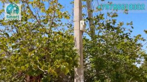 Купить участок в Крыму,  г. Севастополь, Фиолент, СТ Чайка -УБО, S- 5,83сот. Цена 2 750 000руб