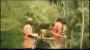 Supafly - Let's Get Down