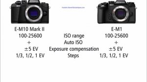 Olympus OM-D E-M10 Mark II vs Olympus OM-D E-M1