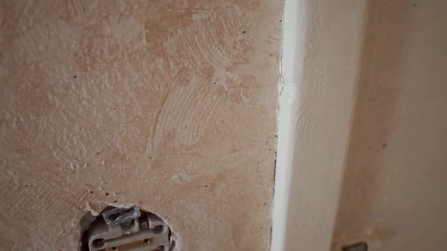 Как бороться с клопами почему их нет в комнате с виниловыми обоями. смотреть онлайн