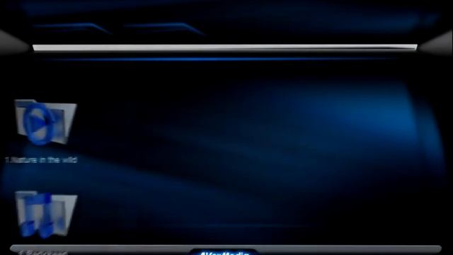 AVerMedia - AVerLife ExtremeVision Media Player (O272)