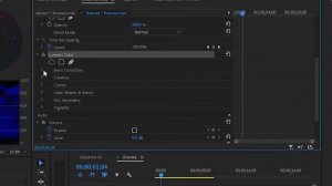 Как сделать видео Черно Белым в Adobe Premier Pro ?