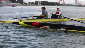 Спасите Серого. Где Медведев там весело. #мегаспорт $kayak