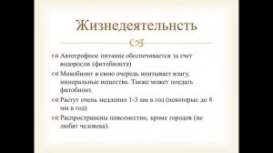 Лишайники. Строение. Значение. Размножение.