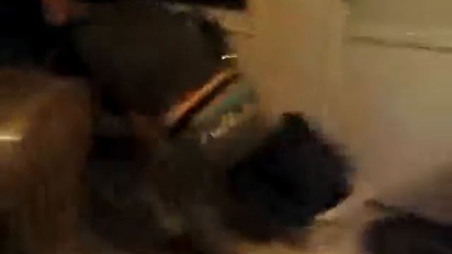 Cinnamon challenge!!!.!!!!!!!!! Aja and savannah смотреть онлайн