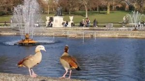 Hyde Park - The Largest Park In The Heart of London|Walk Trough London