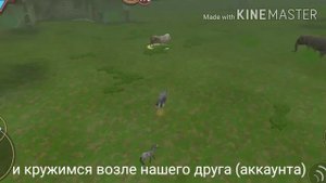 ? топ 3 способа забагать Тигона в Wild Craft! ?