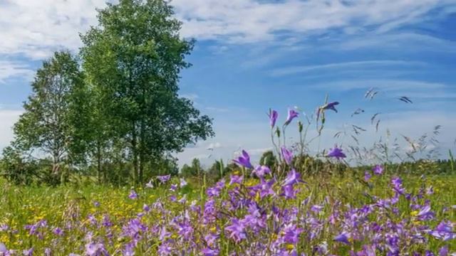 Знай Олюшка смотреть онлайн