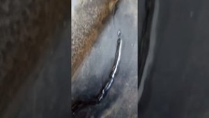 Пайка подножек на cf moto 500 2a