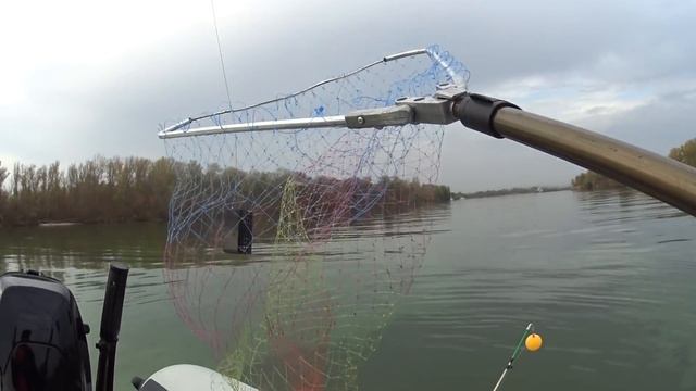 ЧТО ЛОВИТСЯ НА КРЕВЕТКУ В ДОНУ!ТАКОГО РЕЗУЛЬТАТА Я НЕ ОЖИДАЛ!